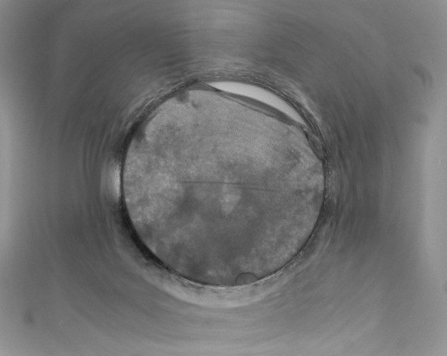 X0000110770027200907271213