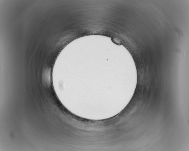 X0000110770028200907271213