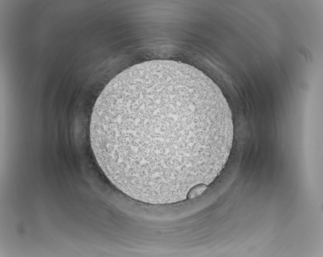 X0000110770030200907271213