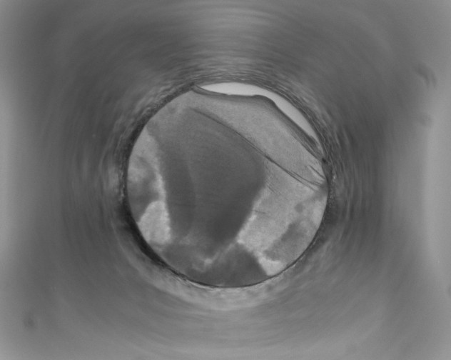 X0000110770031200907271213