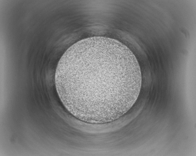 X0000110770034200907271213