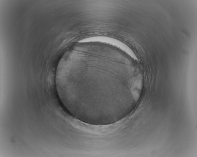 X0000110770035200907271213