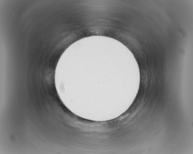 X0000110770036200907271213