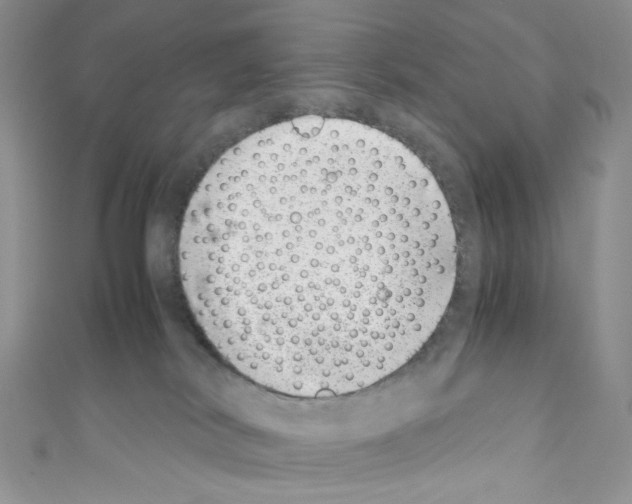 X0000110770038200907271213