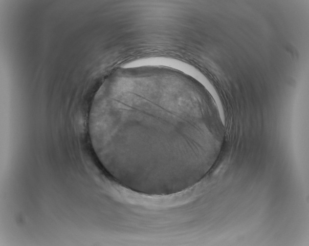 X0000110770039200907271213