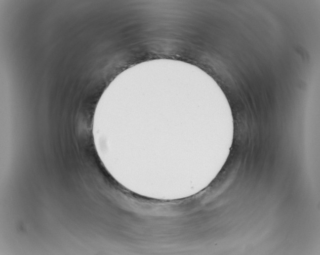 X0000110770040200907271213