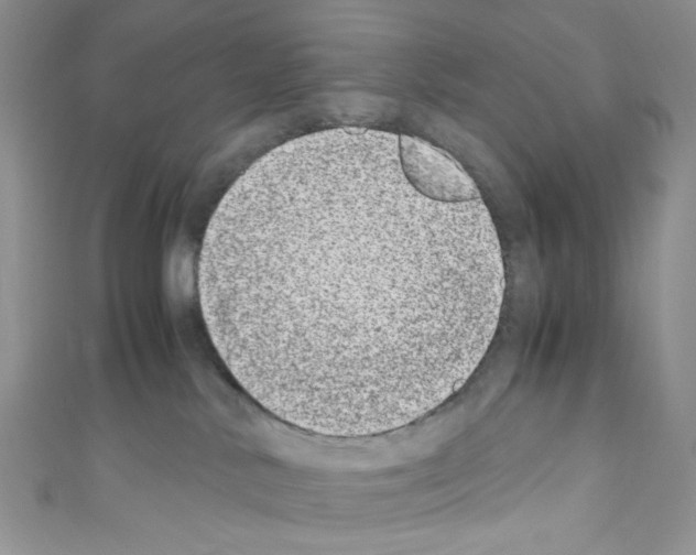 X0000110770042200907271213