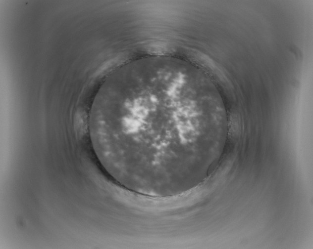 X0000110770043200907271213