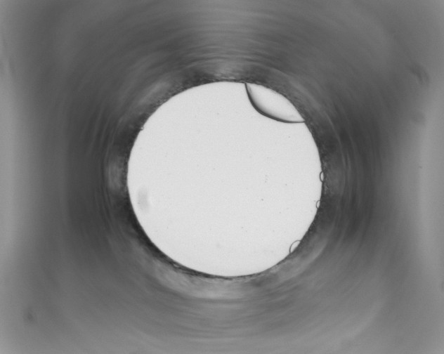 X0000110770044200907271213