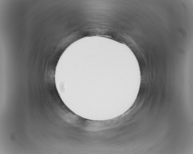 X0000110770045200907271213