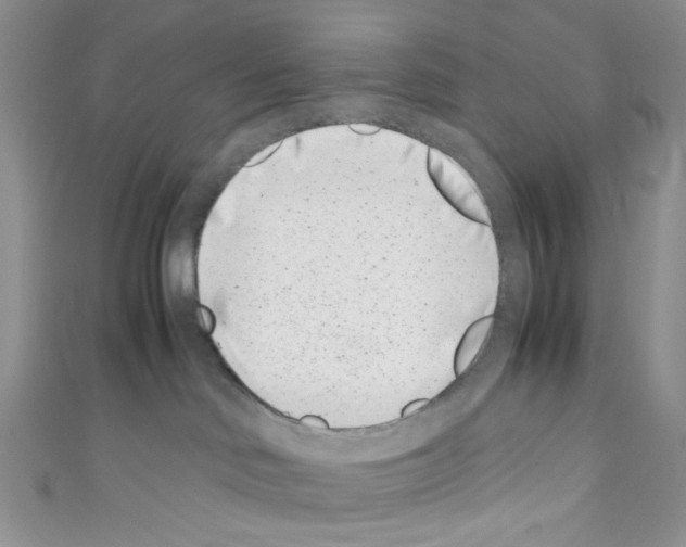 X0000110770046200907271213