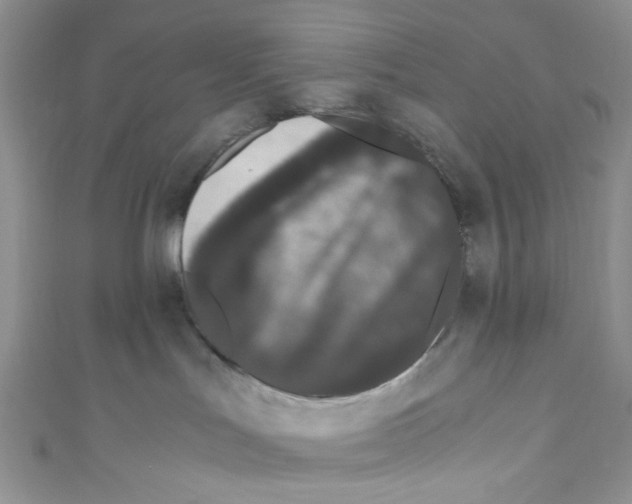 X0000110770047200907271213