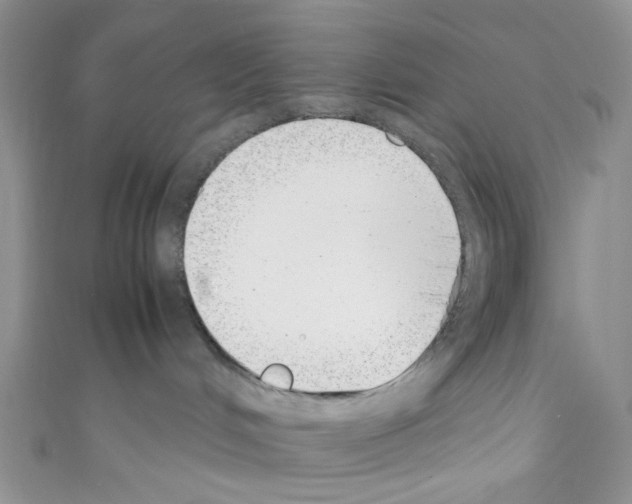 X0000110770048200907271213