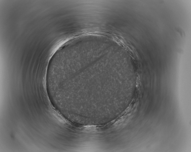 X0000110770052200907271213