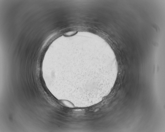 X0000110770053200907271213