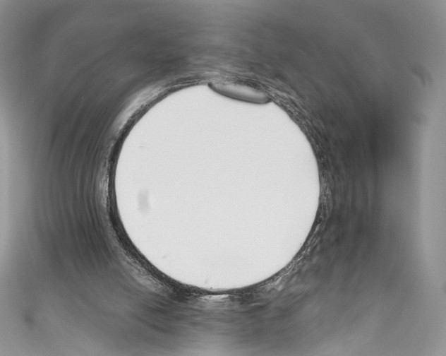 X0000110770054200907271213