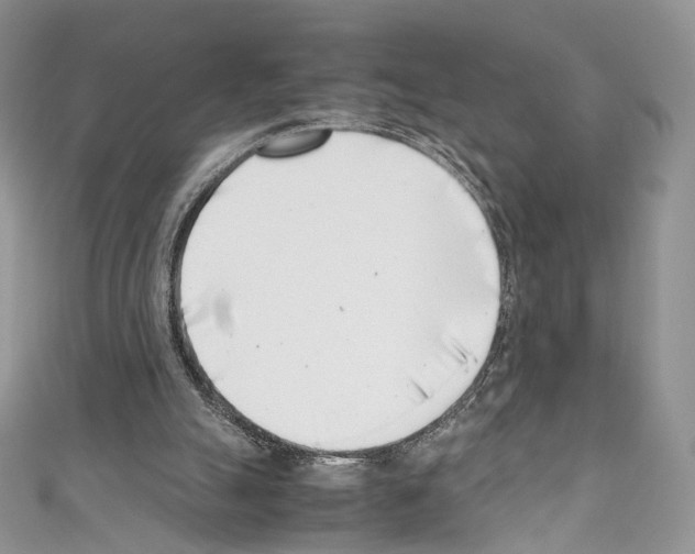 X0000110770055200907271213