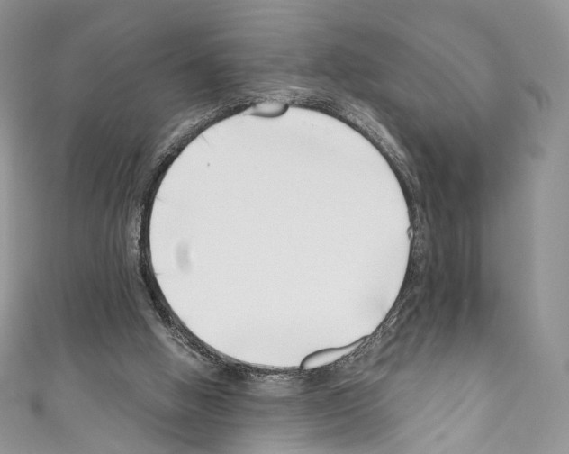 X0000110770058200907271213