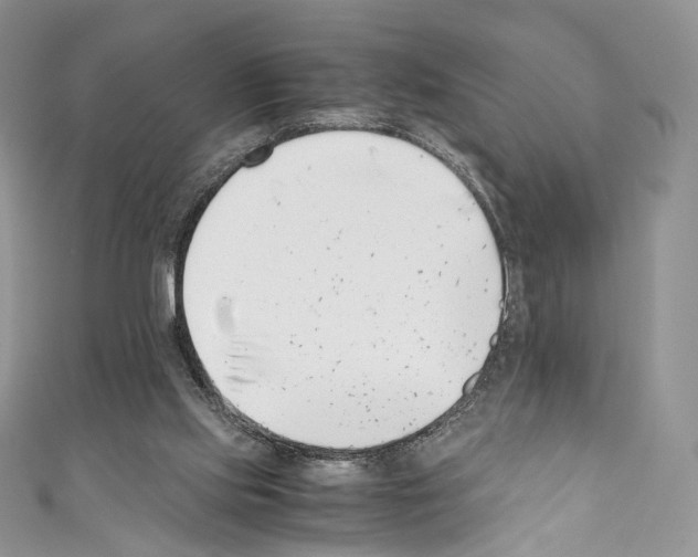 X0000110770061200907271213