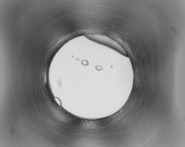 X0000110770062200907271213