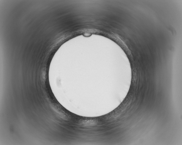 X0000110770063200907271213