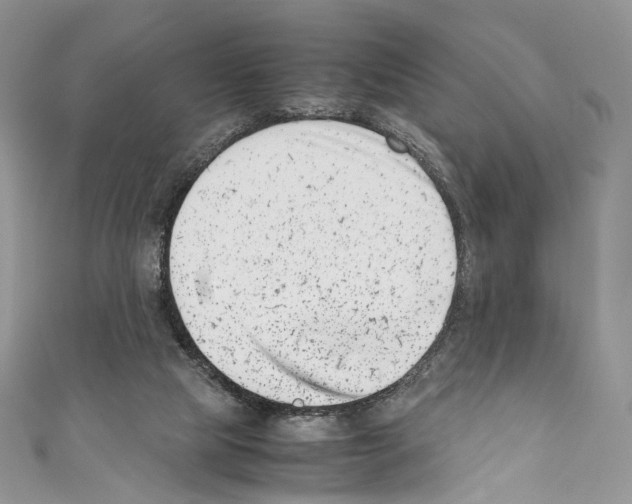 X0000110770065200907271213