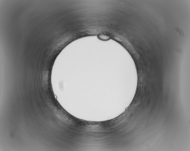 X0000110770066200907271213