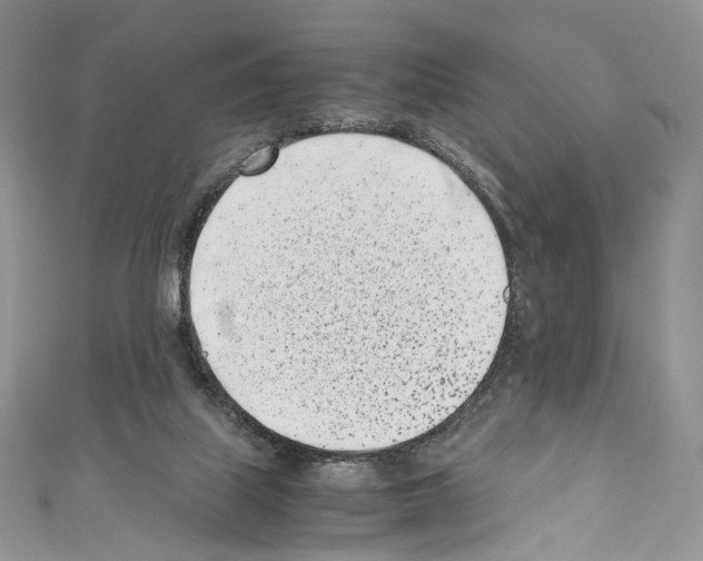 X0000110770067200907271213