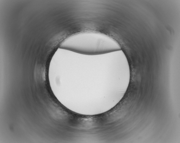 X0000110770068200907271213