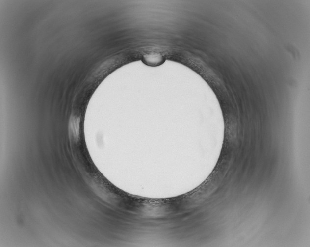 X0000110770070200907271213