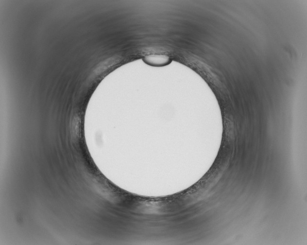 X0000110770071200907271213