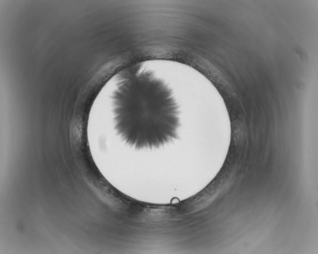 X0000110770072200907271213