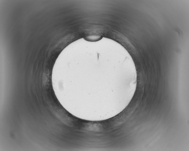 X0000110770073200907271213