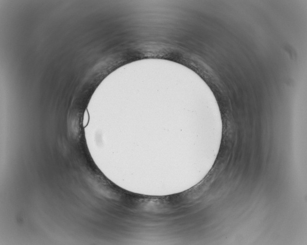 X0000110770074200907271213