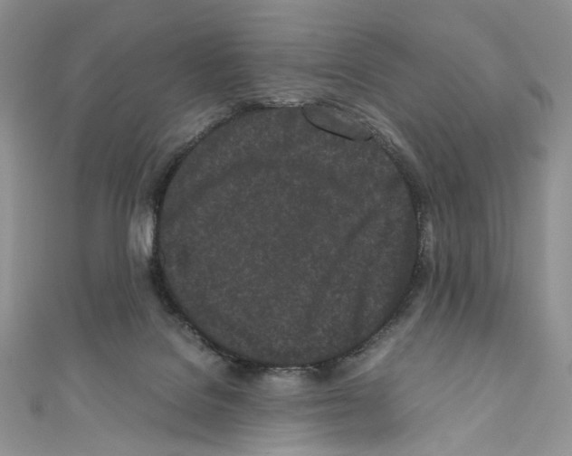 X0000110770076200907271213