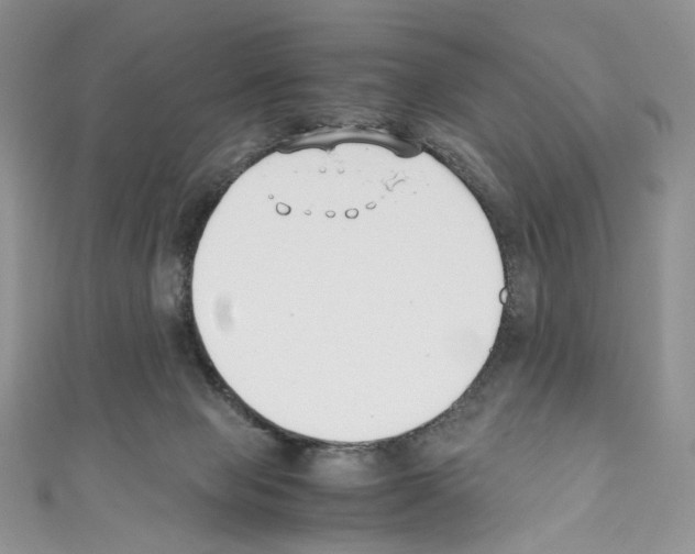 X0000110770077200907271213