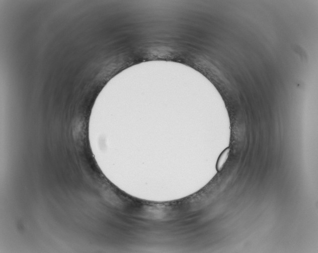 X0000110770079200907271213