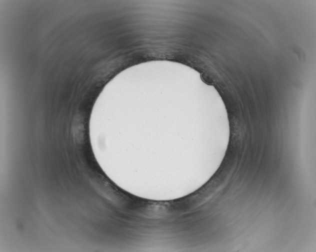 X0000110770080200907271213