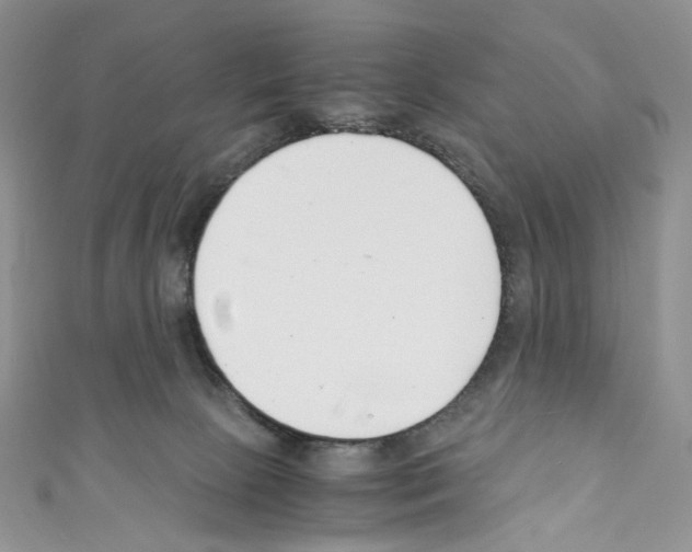 X0000110770081200907271213