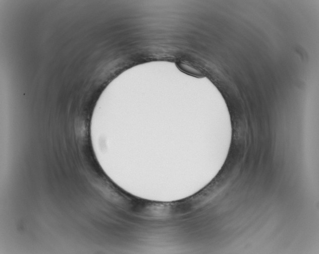 X0000110770084200907271213