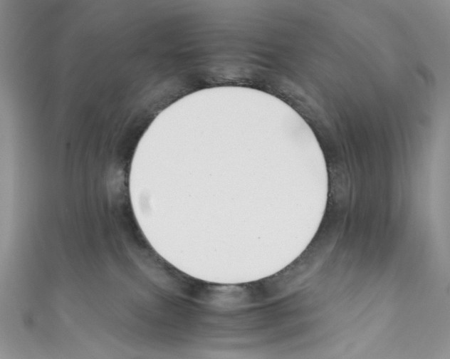 X0000110770087200907271213