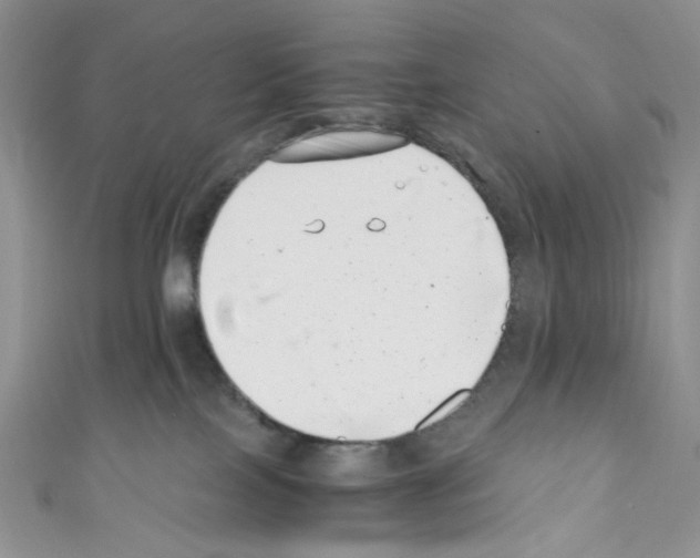 X0000110770089200907271213