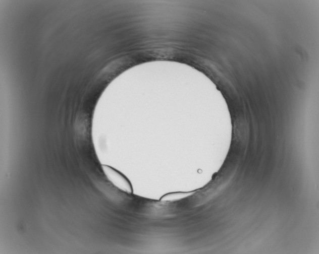 X0000110770092200907271213