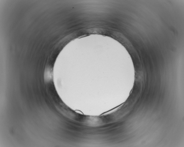 X0000110770095200907271213