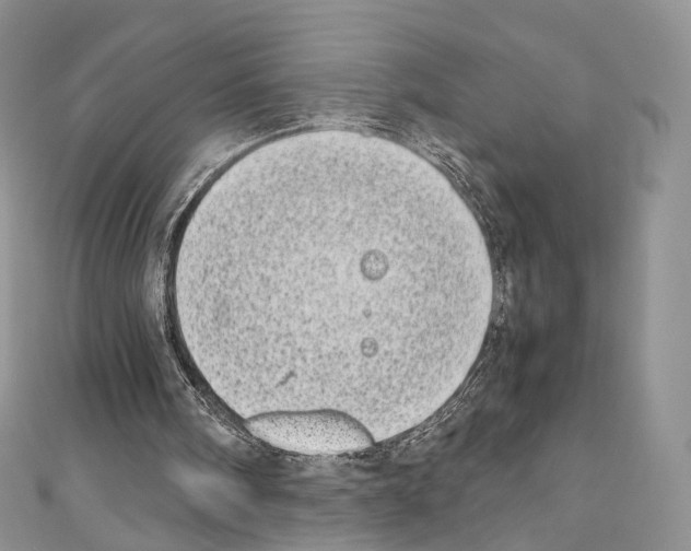 X0000110770098200907271213