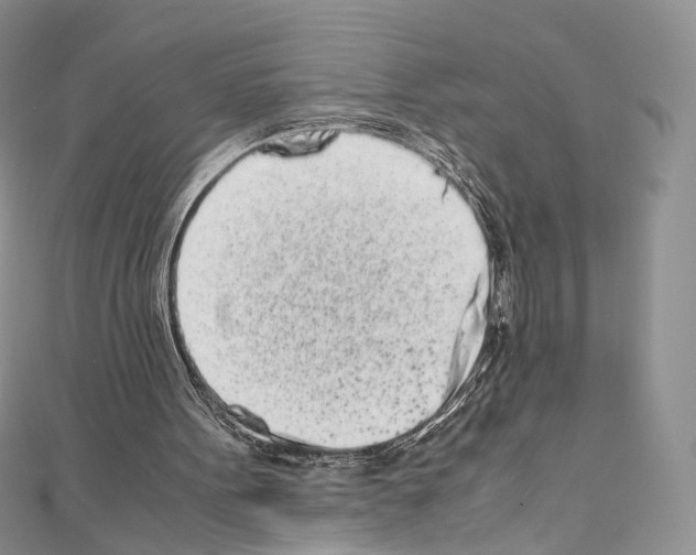 X0000110770099200907271213