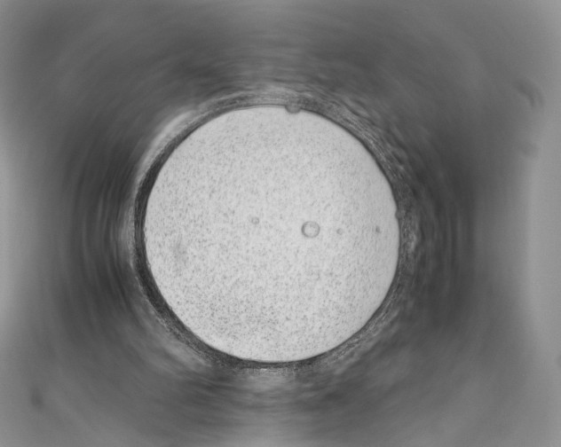 X0000110770102200907271213