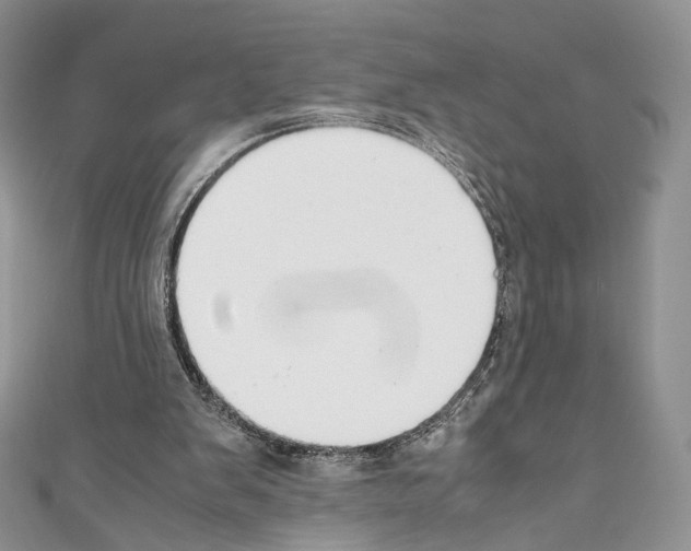 X0000110770103200907271213