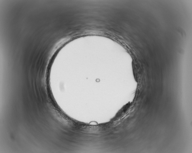 X0000110770104200907271212