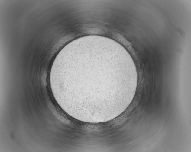 X0000110770106200907271212